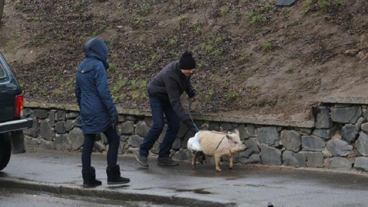 На встречу с Порошенко в Луцке местные жители привели 