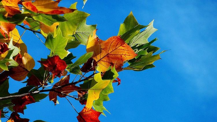 Какой сегодня праздник