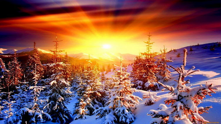 Гороскоп на 13 января. Фото из открытых источников