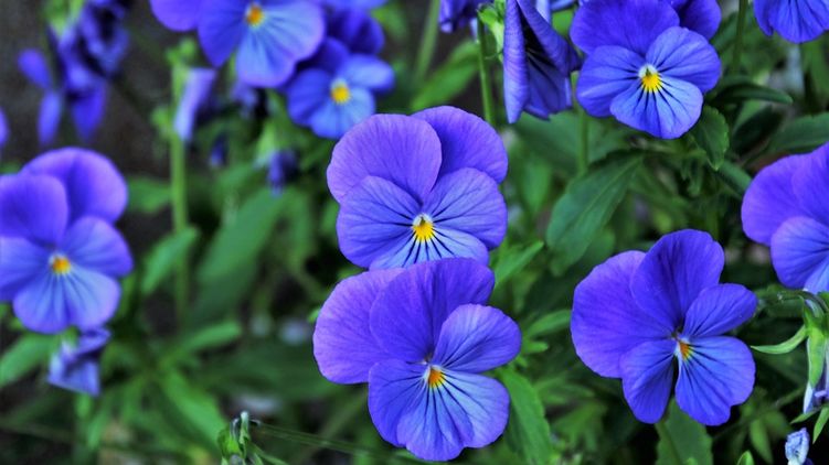 Гороскоп на 29 апреля 2020 года для всех знаков Зодиака