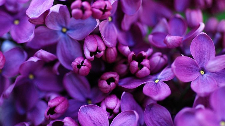 Гороскоп на 18 мая 2020 года