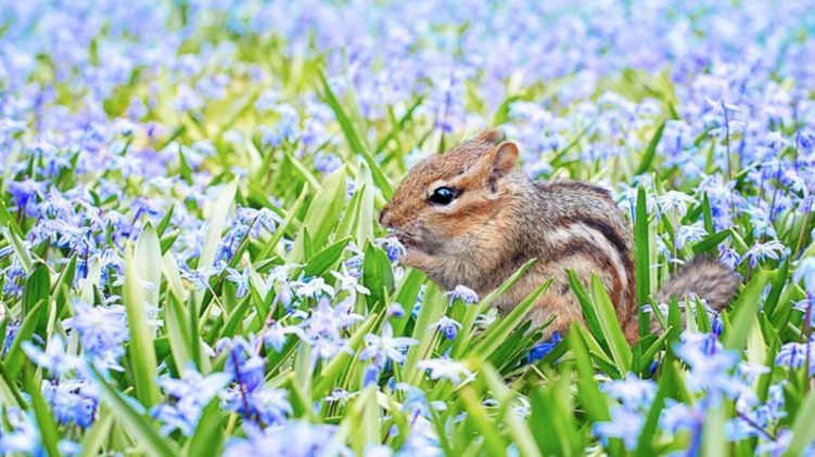 Гороскоп на 2 июня 2020 - один из самых позитивных и энергетических дней. Фото: pixabay