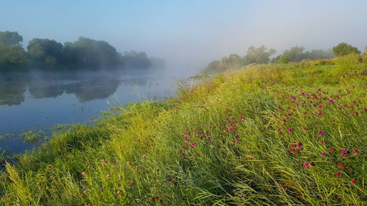 Летнее утро. Фото с сайта Пикабу