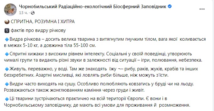 Скриншот из Фейсбука Чернобыльского заповедника