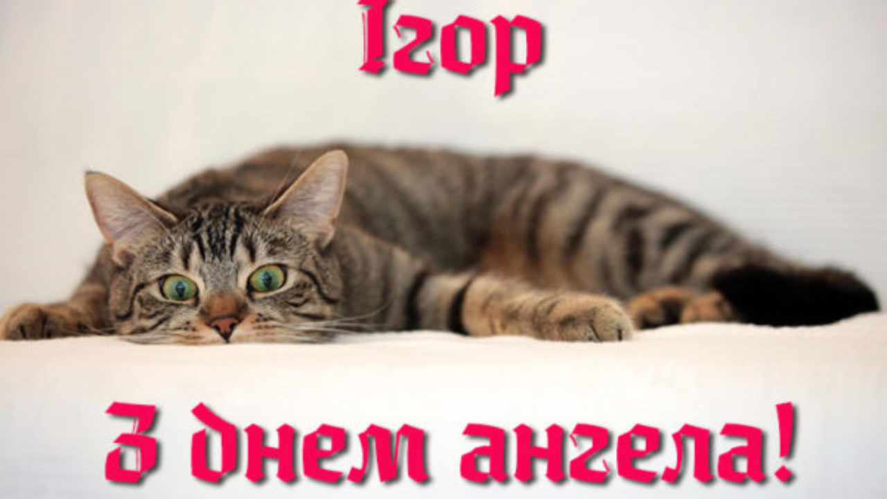 С днем Игоря