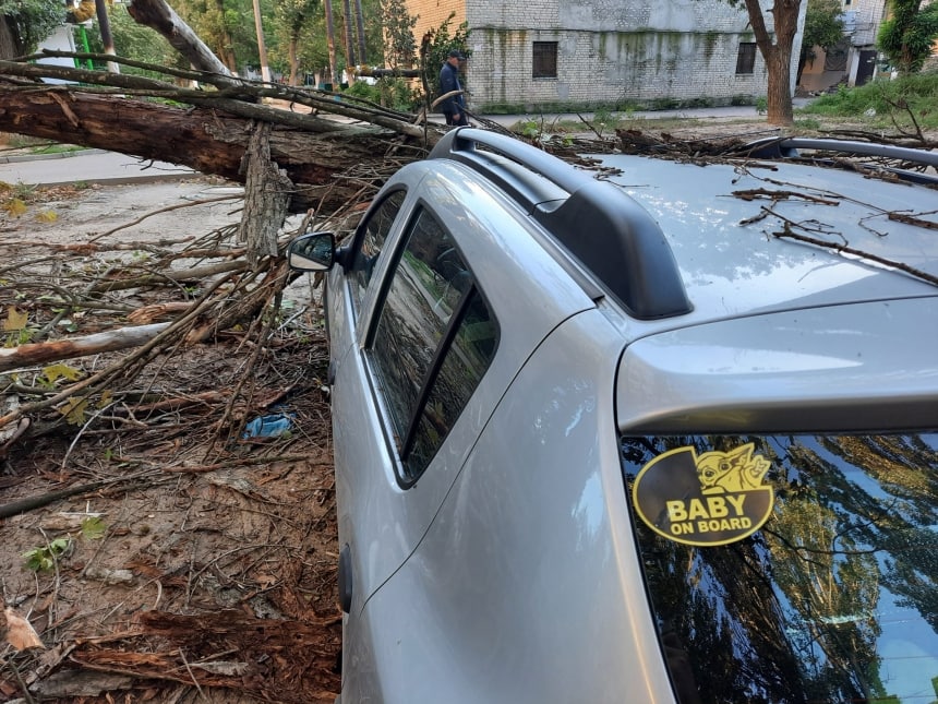 В Николаеве на авто упало дерево