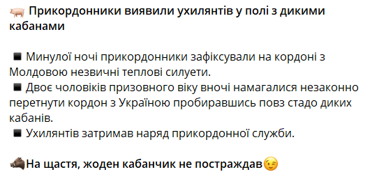 На границе с Молдовой пограничники задержали двоих уклонистов