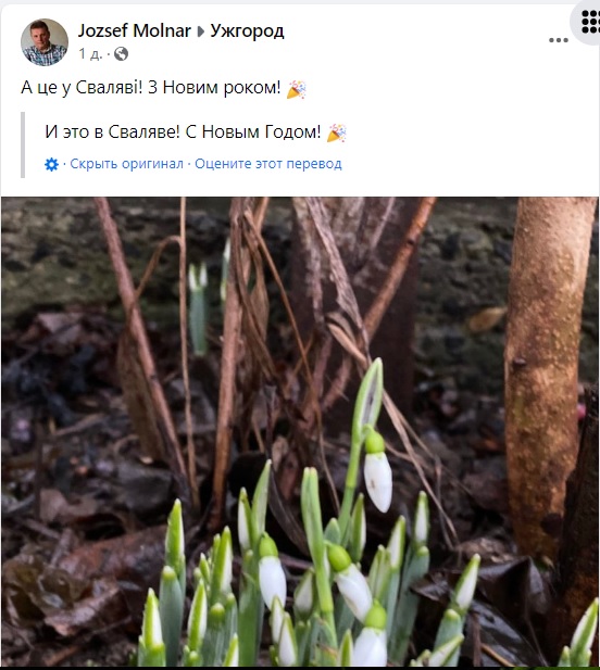 скриншот с facebook