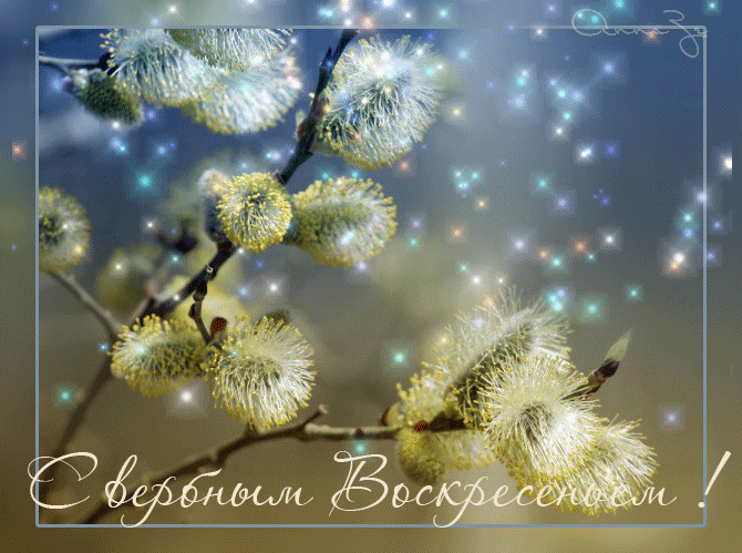 Вербное воскресенье картинки