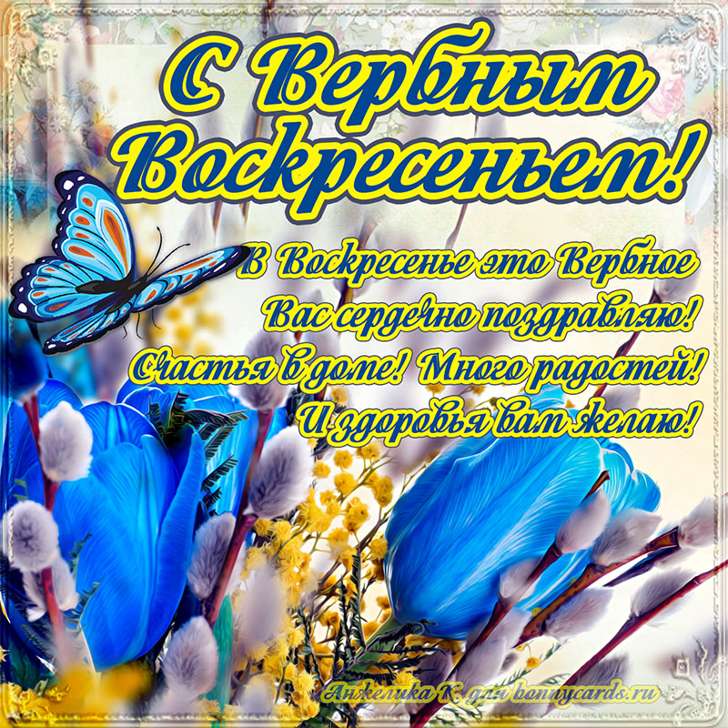 С Вербным воскресеньем, фото bonnycards.ru