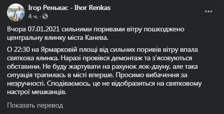 В Каневе упала новогодняя елка. Скриншот фейсбук-поста Игоря Ренькаса