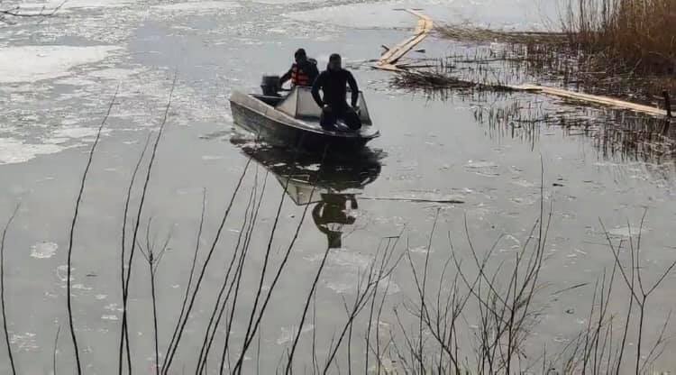 Собаку спасали 4 дня