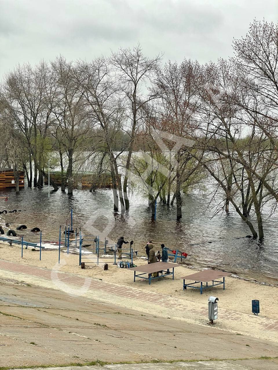 Вода на пляжі у Києві, фото 2