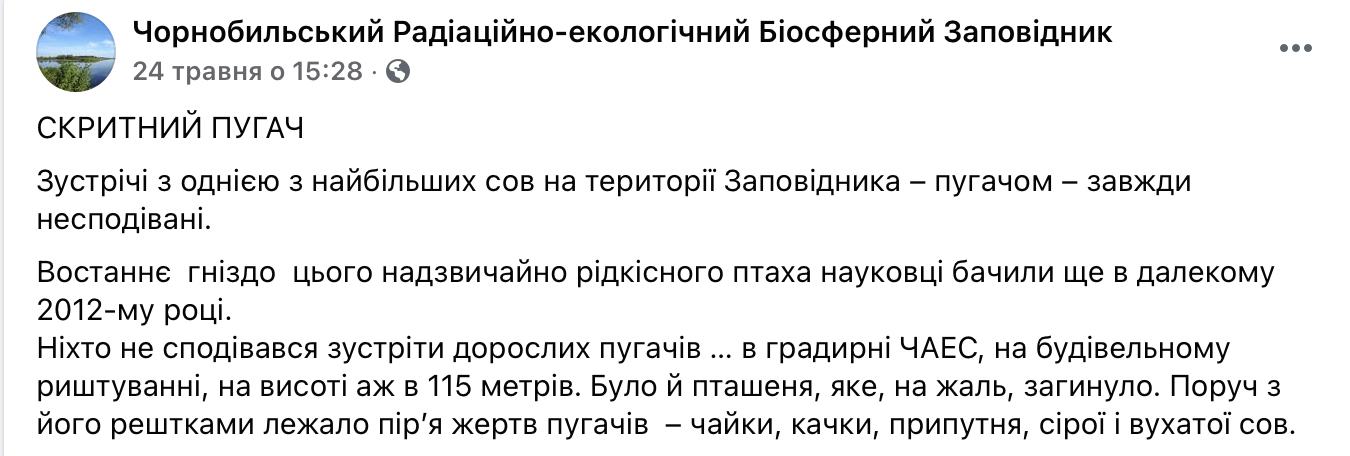 Скрытный филин, больной волк и крепкая паутина. Появились фото, как в Чернобыль пришла настоящая весна