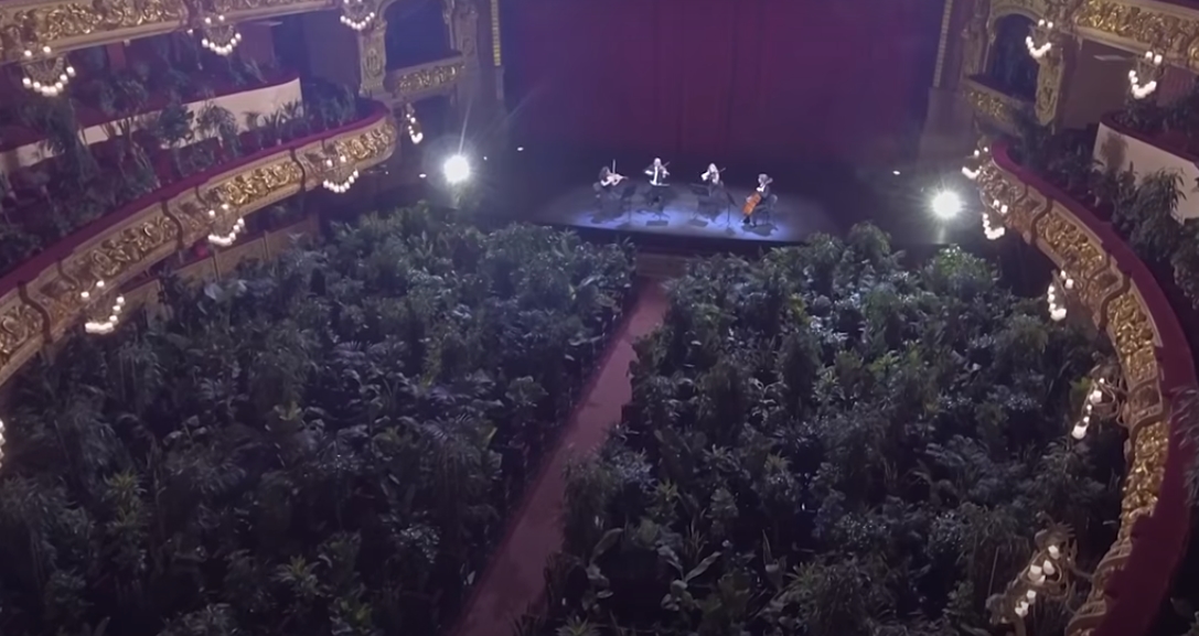 Скриншот: Concierto para el bioceno