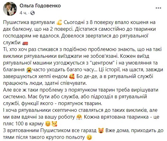 Пожарники спасли упавшего кота. Фото: Facebook / Ольга Годовенко