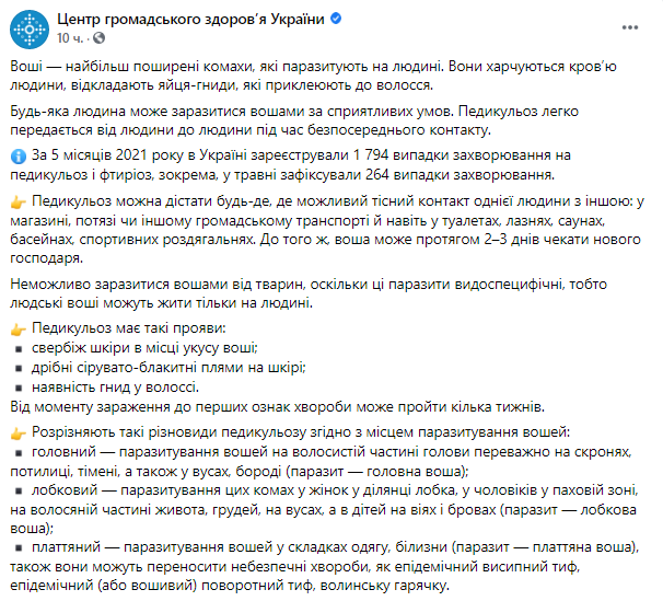 Скриншот: По словам медиков, педикулез можно получить где угодно