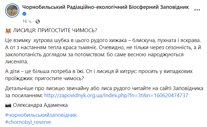 В Чернобыльском заповеднике показали рыжую лису