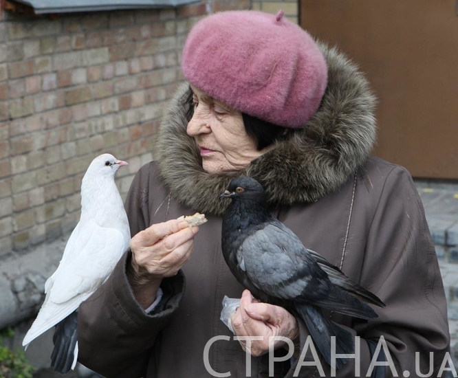 Пожилая женщина кормит голубей хлебом